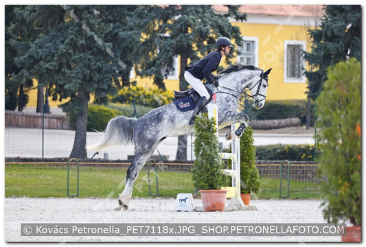 A kép az eredeti csökkentett reprezentációja