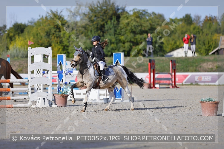 A kép az eredeti csökkentett reprezentációja
