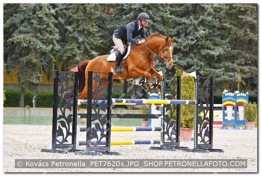 A kép az eredeti csökkentett reprezentációja