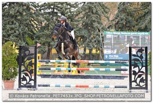 A kép az eredeti csökkentett reprezentációja