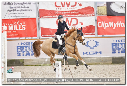 A kép az eredeti csökkentett reprezentációja