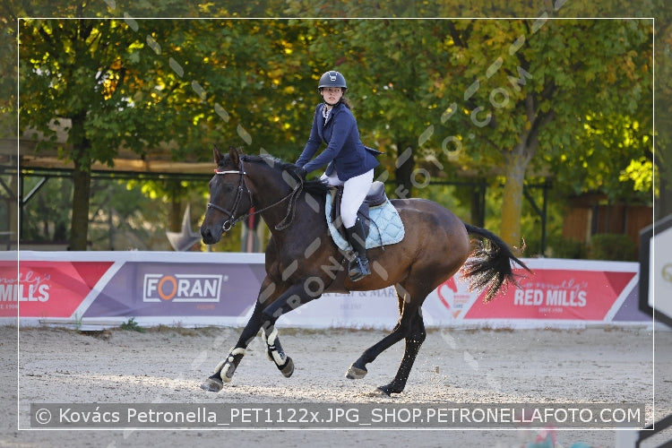 A kép az eredeti csökkentett reprezentációja