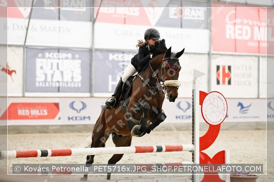 A kép az eredeti csökkentett reprezentációja