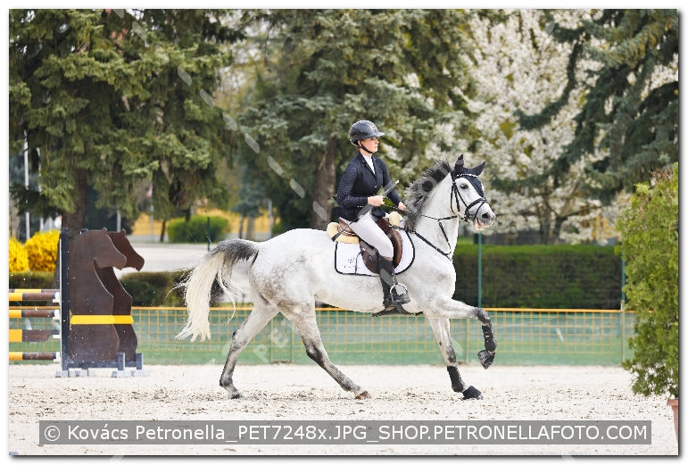 A kép az eredeti csökkentett reprezentációja