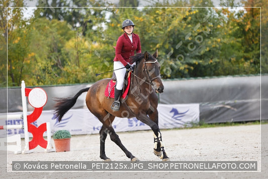 A kép az eredeti csökkentett reprezentációja