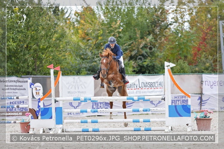 A kép az eredeti csökkentett reprezentációja