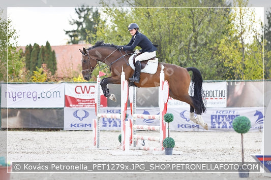 A kép az eredeti csökkentett reprezentációja