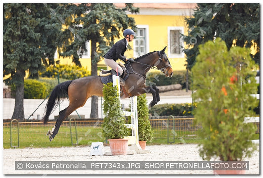 A kép az eredeti csökkentett reprezentációja