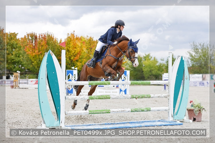 A kép az eredeti csökkentett reprezentációja