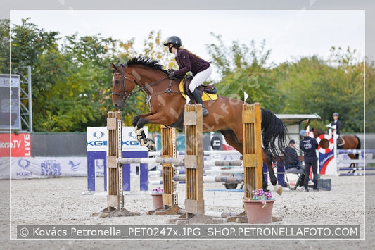 A kép az eredeti csökkentett reprezentációja