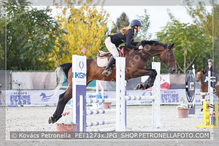 A kép az eredeti csökkentett reprezentációja