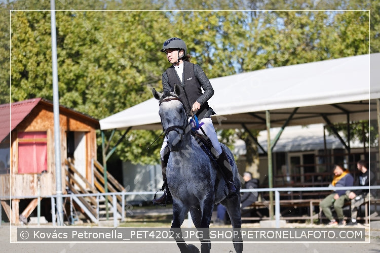 A kép az eredeti csökkentett reprezentációja