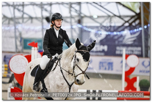 A kép az eredeti csökkentett reprezentációja