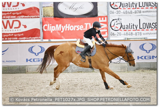 A kép az eredeti csökkentett reprezentációja