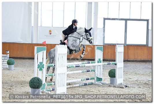 A kép az eredeti csökkentett reprezentációja