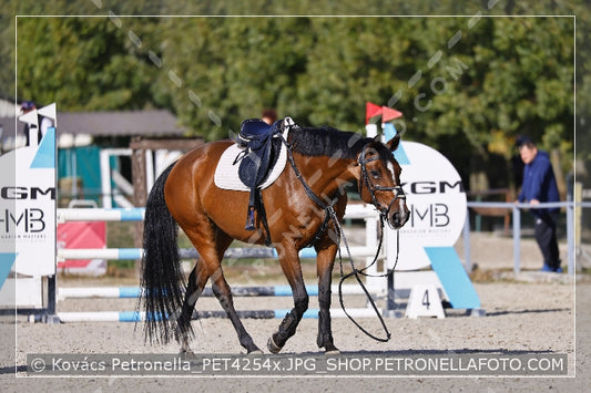 A kép az eredeti csökkentett reprezentációja