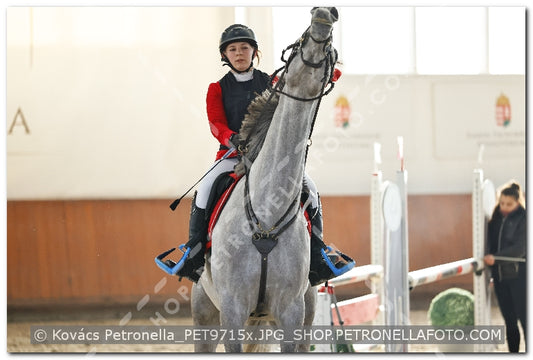 A kép az eredeti csökkentett reprezentációja