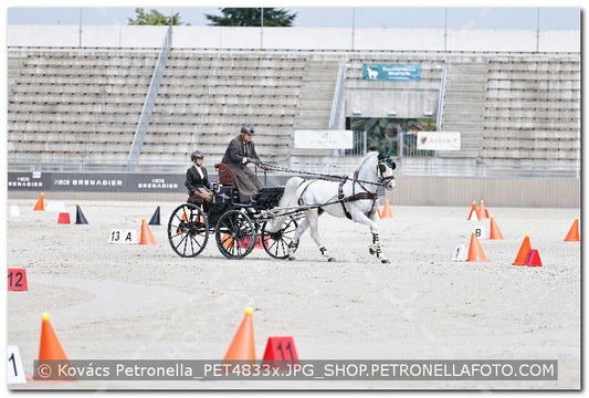 A kép az eredeti csökkentett reprezentációja