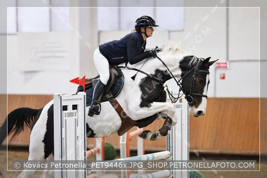 A kép az eredeti csökkentett reprezentációja