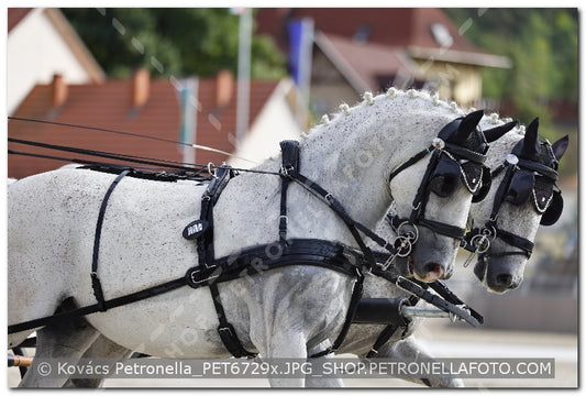 A kép az eredeti csökkentett reprezentációja