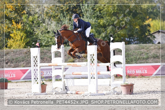 A kép az eredeti csökkentett reprezentációja