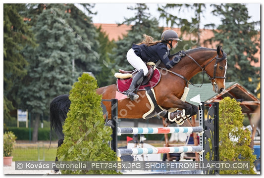 A kép az eredeti csökkentett reprezentációja