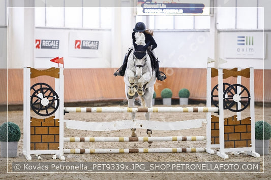 A kép az eredeti csökkentett reprezentációja