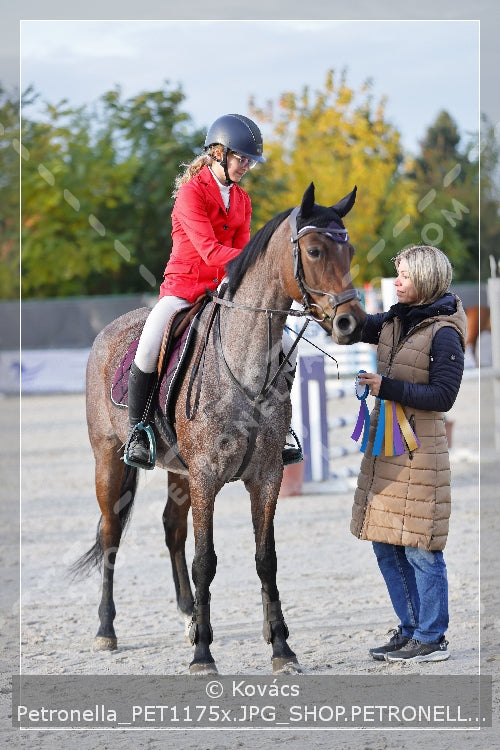 A kép az eredeti csökkentett reprezentációja