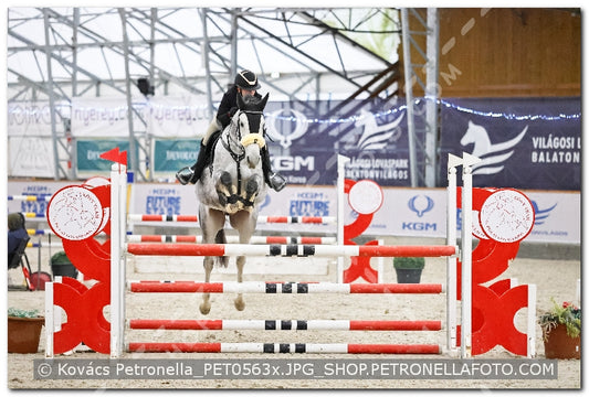 A kép az eredeti csökkentett reprezentációja