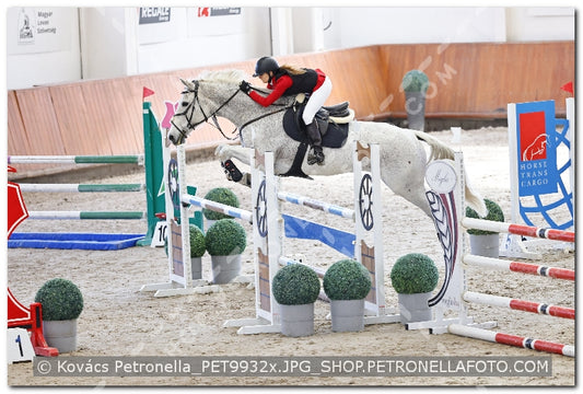 A kép az eredeti csökkentett reprezentációja
