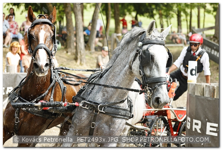 A kép az eredeti csökkentett reprezentációja