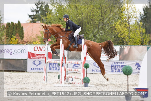 A kép az eredeti csökkentett reprezentációja