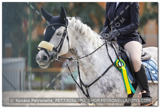 A kép az eredeti csökkentett reprezentációja