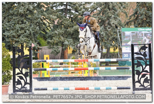 A kép az eredeti csökkentett reprezentációja