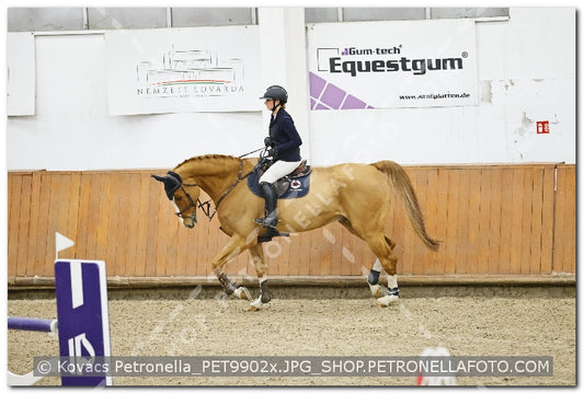 A kép az eredeti csökkentett reprezentációja
