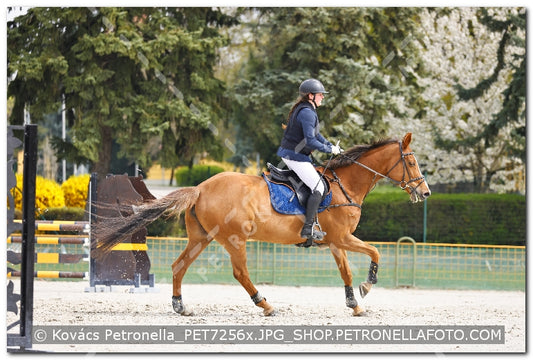 A kép az eredeti csökkentett reprezentációja