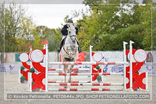A kép az eredeti csökkentett reprezentációja