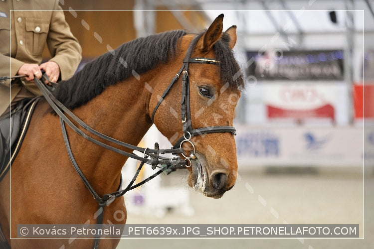 A kép az eredeti csökkentett reprezentációja