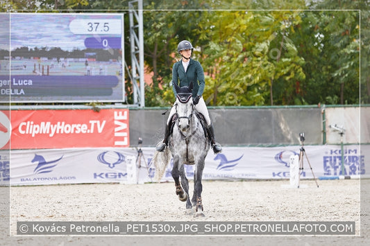 A kép az eredeti csökkentett reprezentációja