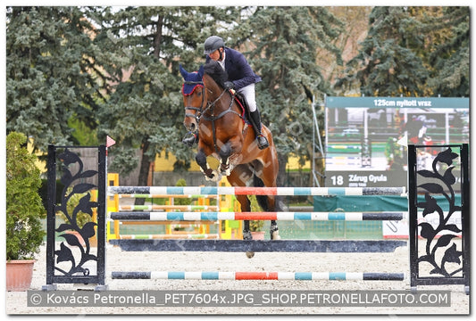 A kép az eredeti csökkentett reprezentációja