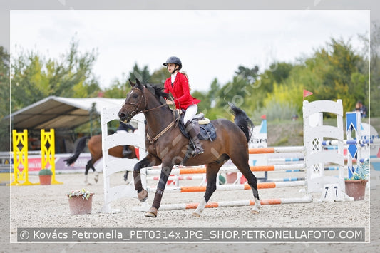 A kép az eredeti csökkentett reprezentációja