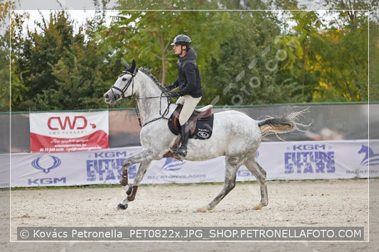 A kép az eredeti csökkentett reprezentációja