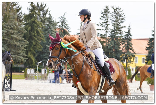 A kép az eredeti csökkentett reprezentációja