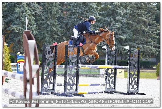 A kép az eredeti csökkentett reprezentációja
