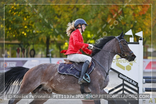 A kép az eredeti csökkentett reprezentációja