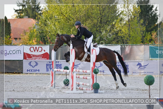 A kép az eredeti csökkentett reprezentációja