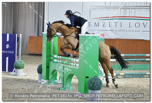 A kép az eredeti csökkentett reprezentációja