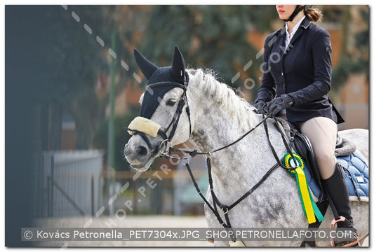 A kép az eredeti csökkentett reprezentációja