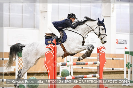 A kép az eredeti csökkentett reprezentációja