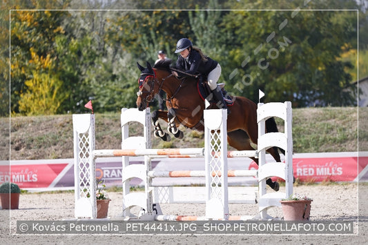 A kép az eredeti csökkentett reprezentációja